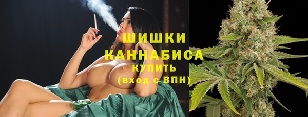 амф Аркадак