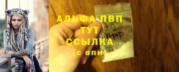 эйфоретик Кинешма