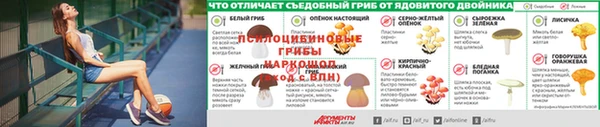 спиды Арсеньев