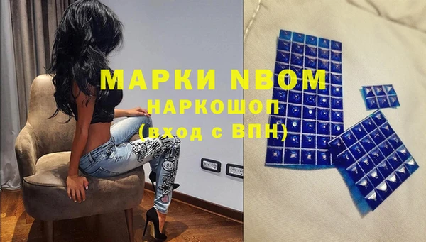 амф Аркадак