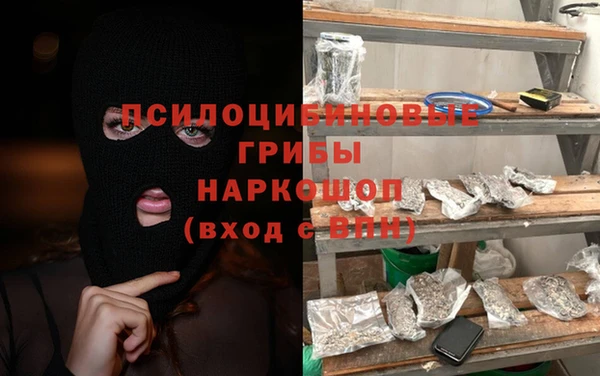 амф Аркадак