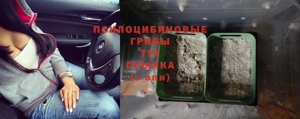 амф Аркадак