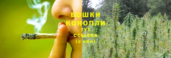 спиды Арсеньев
